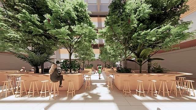 DY_Patil_University